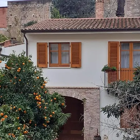 L'arancio Antico