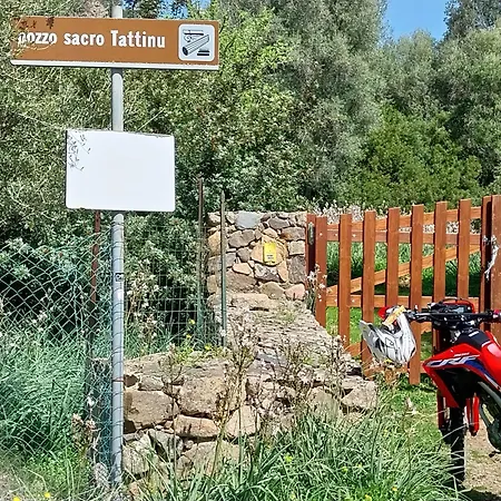 L'arancio Antico