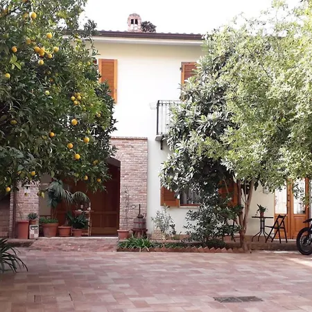 L'arancio Antico