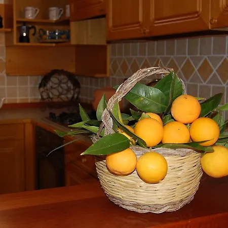 L'arancio Antico